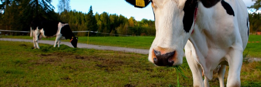 Maatalouden ympäristötietopäivät