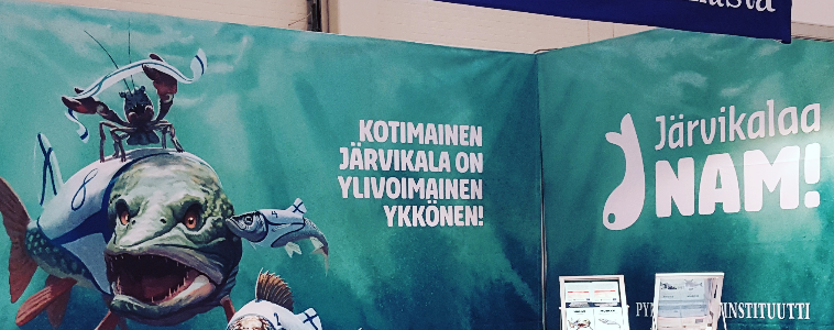 Onko särkee vai ei?