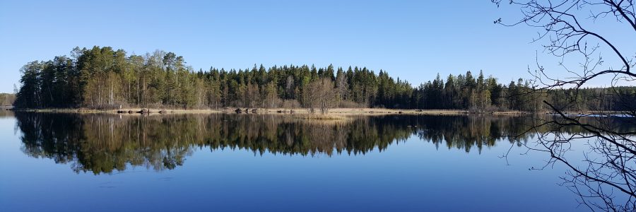 Metsät ja vesiensuojelu -tilaisuus Salossa 21.3.