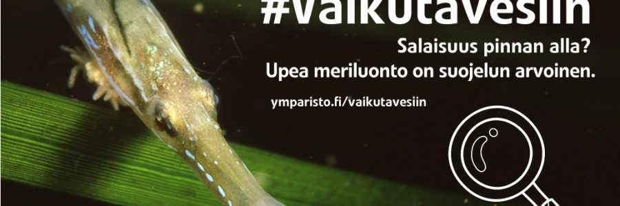 Yleisötilaisuudet merensuojelusta, Turku ja Pori