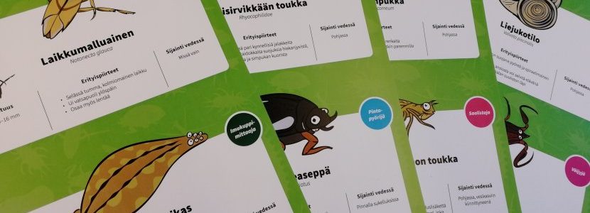 Ötökkäkortit tutustuttavat vesien pieneläimiin