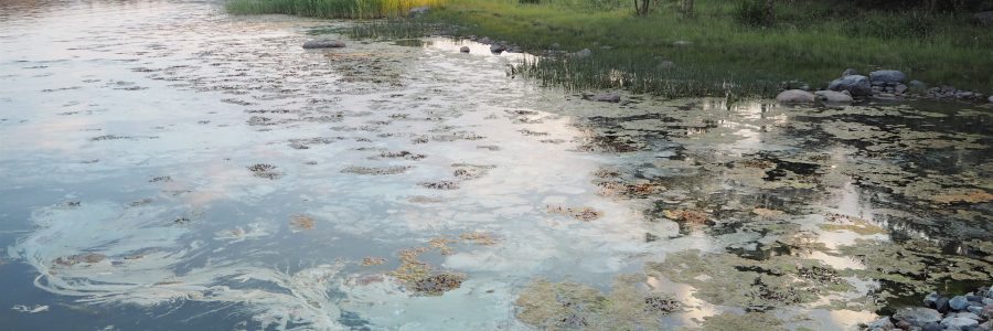Vaikuta vesiin Nyt -infoja Saaristomerellä pitkin kesää