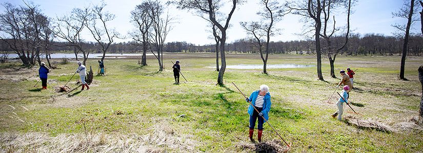 WWF:n talkooleirillä Uudessakaupungissa hoidettiin Vekaran saaren arvokkaita perinnemaisemia