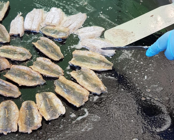 Kalaherkut haltuun -hanke tutustuttaa kotimaiseen kalaan