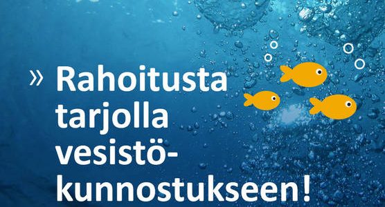 Virtaa vesistökunnostukseen – hankkeiden rahoitushaku 15.10. alkaen