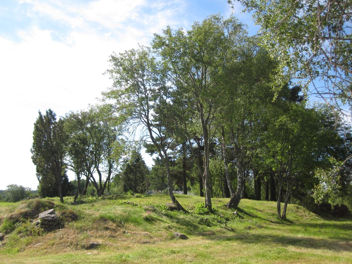 Kuvassa vihreä nurmi, joka nousee keskeltä matalaksi kumpareeksi, jonka päällä kasvaa muutamia kapearunkoisia puita.