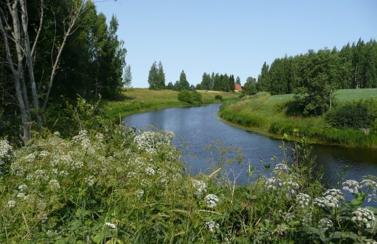 Uusi ohjelma ja uudet sivut – päivitetyt kulttuuriympäristö-sivut avataan Ympäristö Nytissä syyskuussa