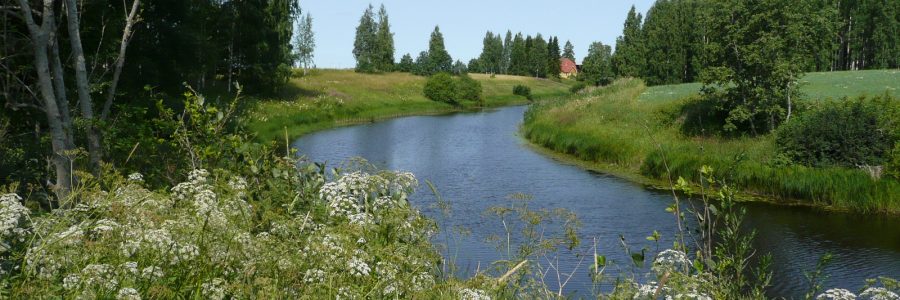 Uusi ohjelma ja uudet sivut – päivitetyt kulttuuriympäristö-sivut avataan Ympäristö Nytissä syyskuussa