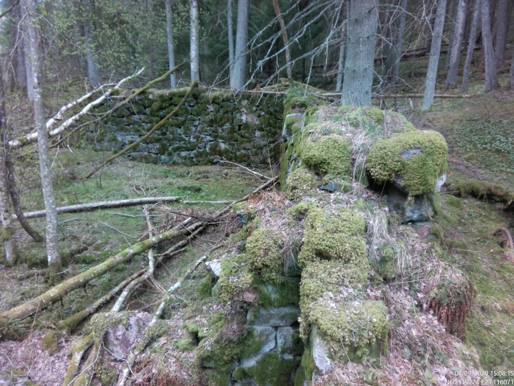 Kuvassa on sammaleen peittämää muuria ja joitakin ohuita kaatuneita puunrunkoja.