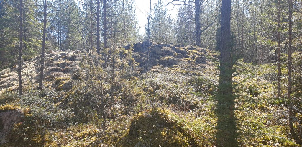 Metsän keskellä on isohkoja sammaloituneita kiviä röykkiöön ladottuna.