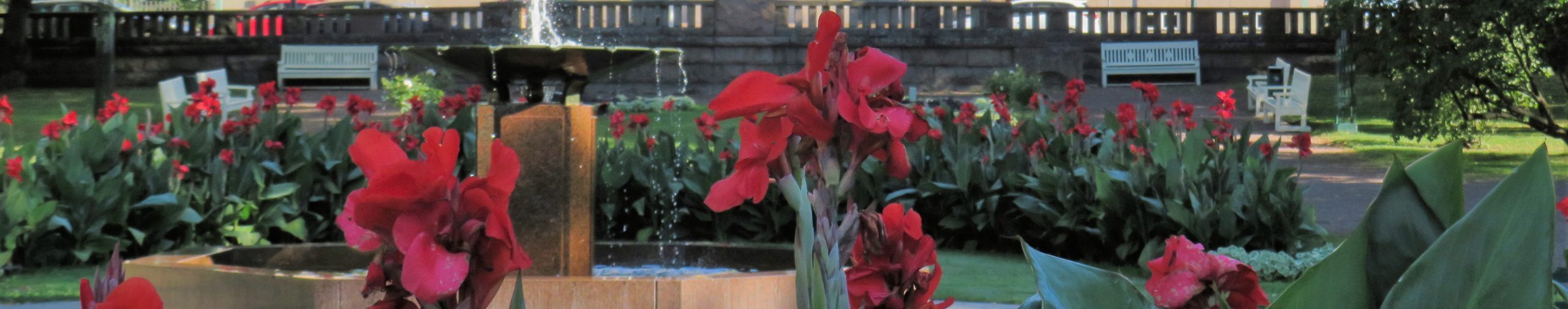 Lähikuvassa edessä punaisia kukkia. Taustalta erottuu vesilähde, samaisia kukkia paljolti ja puistonpenkkejä.