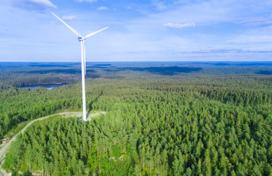 Ympäristö Nyt -uutiskirje, kesäkuu 2025