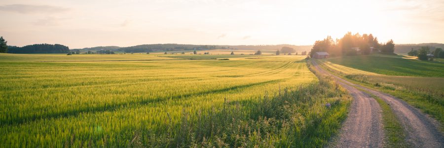 Haloo maaseudun kesälehti on ilmestynyt!