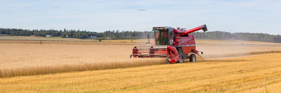 Yritystuet lisäävät maaseudun elinvoimaa