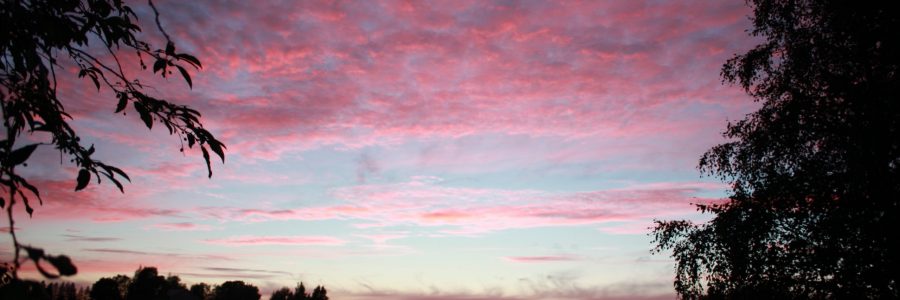 Nesslingin Säätiön apurahat jaetaan taas syksyllä –  hakuinfo 16.6.