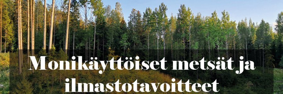 Webinaari: Monikäyttöiset metsät ja ilmastotavoitteet Varsinais-Suomessa 23.9.2021