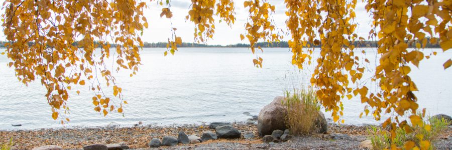 Syyskuun Ympäristö Nyt -uutiskirje