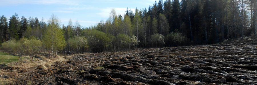 Eurajoesta tehty bakteerihavainto voi johtaa lakimuutoksiin