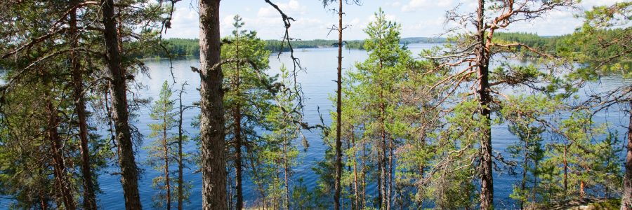 Satakunta-strategian toiseen luonnokseen pyydetään lausuntoja 29.10.2021 mennessä