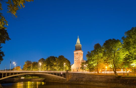 Turku vahvistaa kaupungin hiilinieluja ja edistää pihojen vihertehokkuutta