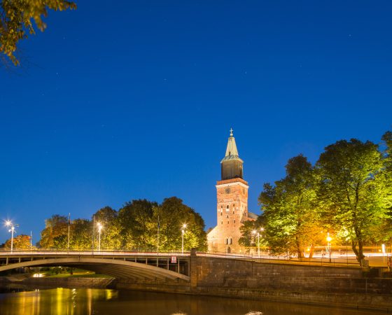 Turku vahvistaa kaupungin hiilinieluja ja edistää pihojen vihertehokkuutta