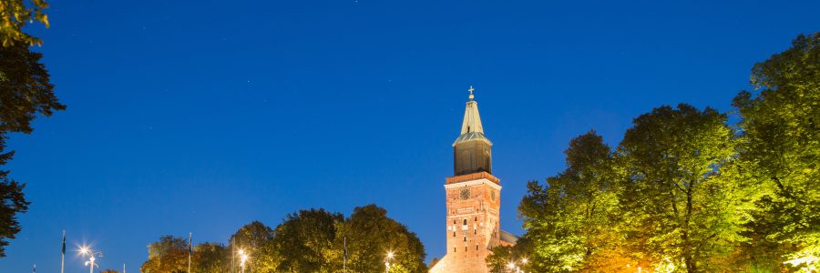 Turku vahvistaa kaupungin hiilinieluja ja edistää pihojen vihertehokkuutta