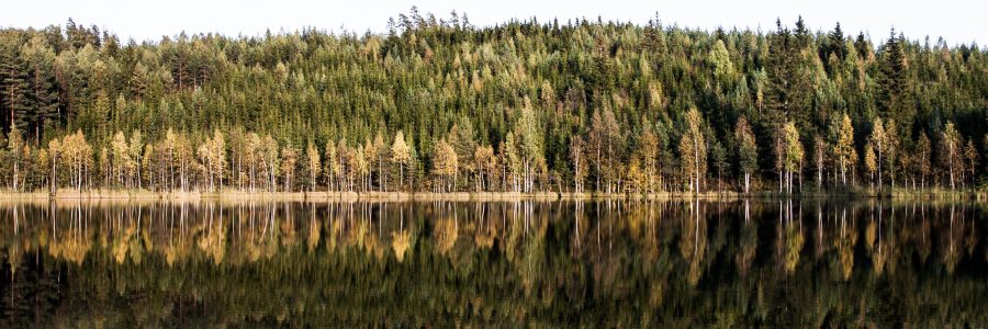 Metsätalouden vesiensuojelupäivät 2.-4.11.2021