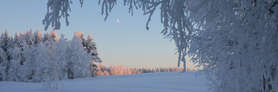 Ilmastonmuutos haltuun -uutiskirje 4/21