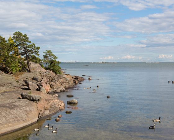 Uusia ratkaisuja Saaristomeren luonnon monimuotoisuuden edistämiseen -kokeiluhaku auki 22.11.2021 asti