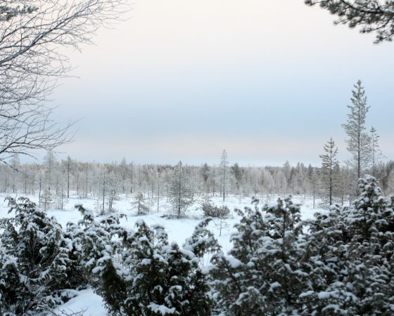 Luonnonsuojelun toteutus etenee Lounais-Suomessa