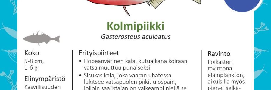 Itämeren kaloja uusissa VELMU-kalakorteissa (också på svenska)