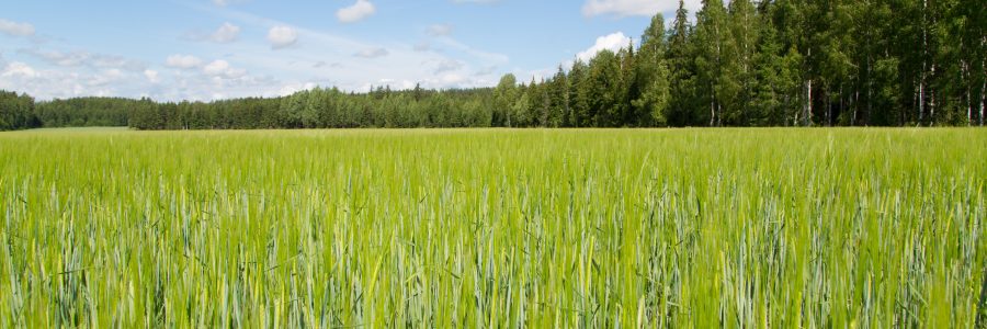 Biotalouden menestystarinat – ravinteiden ideat käytäntöön 28.6.2022