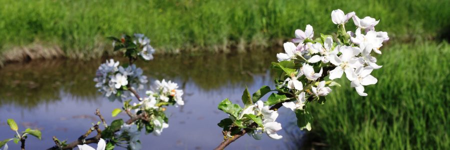 Ajankohtaisia tilaisuuksia