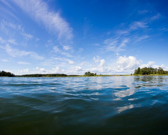 Kan fiske rädda Skärgårdshavet? – Pelastaako kalastus Saaristomeren? 30.8.2023, Pargas/Parainen