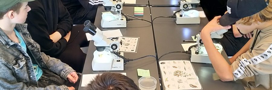 100 koululaista tutkimassa Saaristomeren biosfäärialuetta / Skolelever undersökte Skärgårdshavets biosfärområde