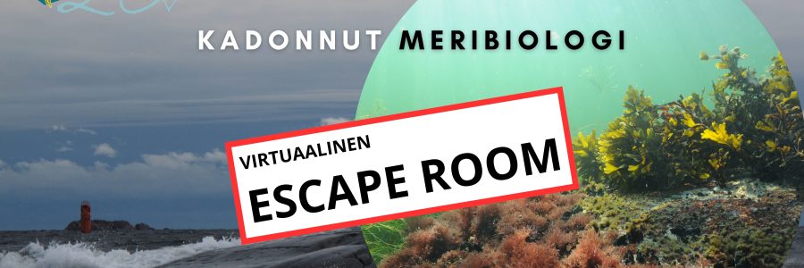 Kadonnut meribiologi – Virtuaalinen Escape Room