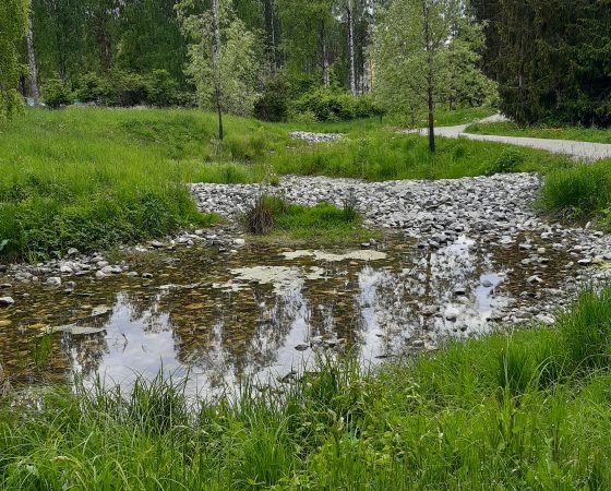 Turun Pääskyvuorenrinteen luontopohjainen hulevesiratkaisu