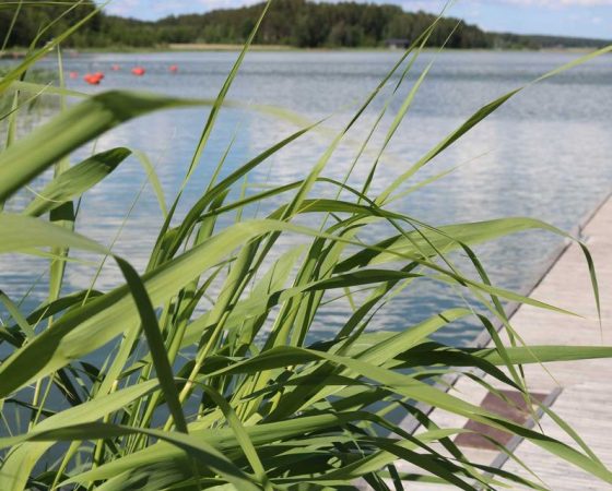 Avustushakuja avoinna ELY-keskuksissa