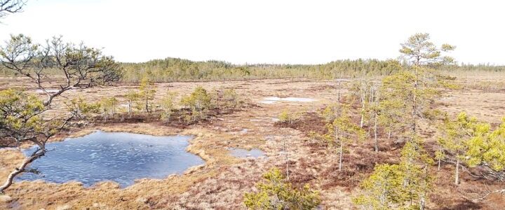 SATUMAA – Satakunnan muuttuvat suomaat: turvetuotannosta uusiin elinkeinoihin ja merkityksiin 2024–2026