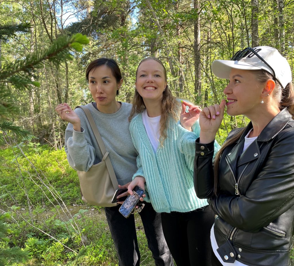 Kolme opiskelijaa maistelevat kuusenkerkkää metsässä.