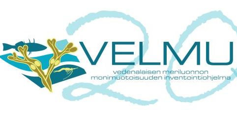 Merenpohjalta päivänvaloon – Velmun 20-vuotisjuhlaseminaari 21.11.2024