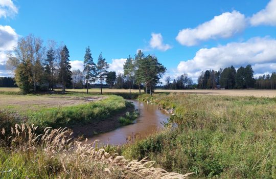 Vesiensuojelun hanketoimijat verkostoituivat Loimaalla ja tutustuivat Hennijoen kunnostushankkeeseen