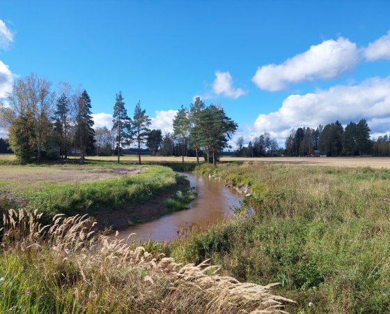 Vesiensuojelun hanketoimijat verkostoituivat Loimaalla ja tutustuivat Hennijoen kunnostushankkeeseen