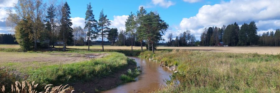 Vesiensuojelun hanketoimijat verkostoituivat Loimaalla ja tutustuivat Hennijoen kunnostushankkeeseen