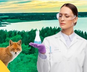 Nostetta yrityksesi luontotyöhön – Ilmoittaudu mukaan valmennukseen 31.10.2025 mennessä