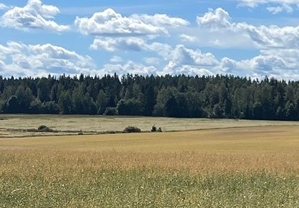 Tutkimuksen avulla läpimurto hiilitaseen mittaamiseen maaperässä