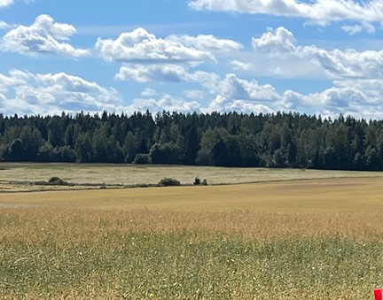 Tutkimuksen avulla läpimurto hiilitaseen mittaamiseen maaperässä