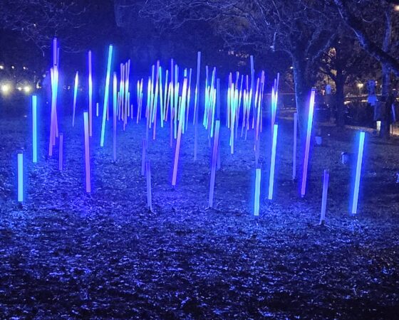 Joulukuun Ympäristö Nyt -uutiskirjeessä ajankohtaisia tilaisuuksia ja rahoituksia