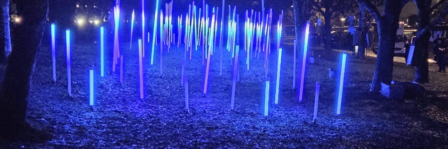 Joulukuun Ympäristö Nyt -uutiskirjeessä ajankohtaisia tilaisuuksia ja rahoituksia