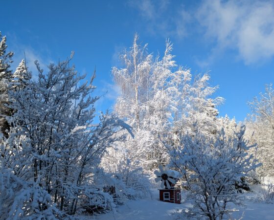 Ajankohtaisia tilaisuuksia